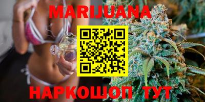 прущие крисы Можга