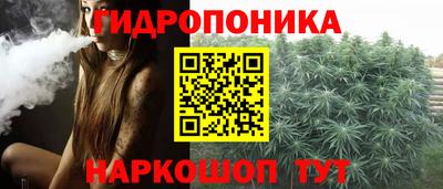 прущие крисы Можга