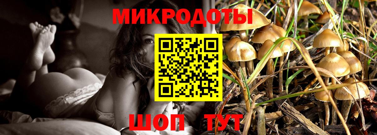 Галлюциногенные грибы ЛСД  Галлюциногенные грибы MAGIC MUSHROOMS  Азов  Вход с VPN 